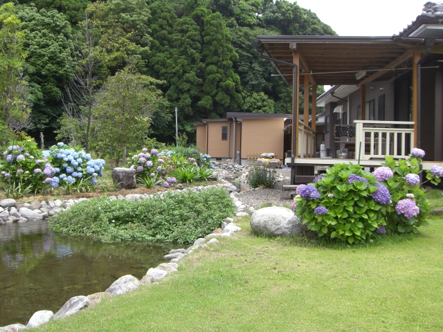 せせらぎの周り小川とあじさい せせらぎの周り小川とあじさい